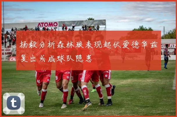 杨毅分析森林狼表现起伏爱德华兹复出或成球队隐患